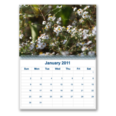 Calendars - Wall