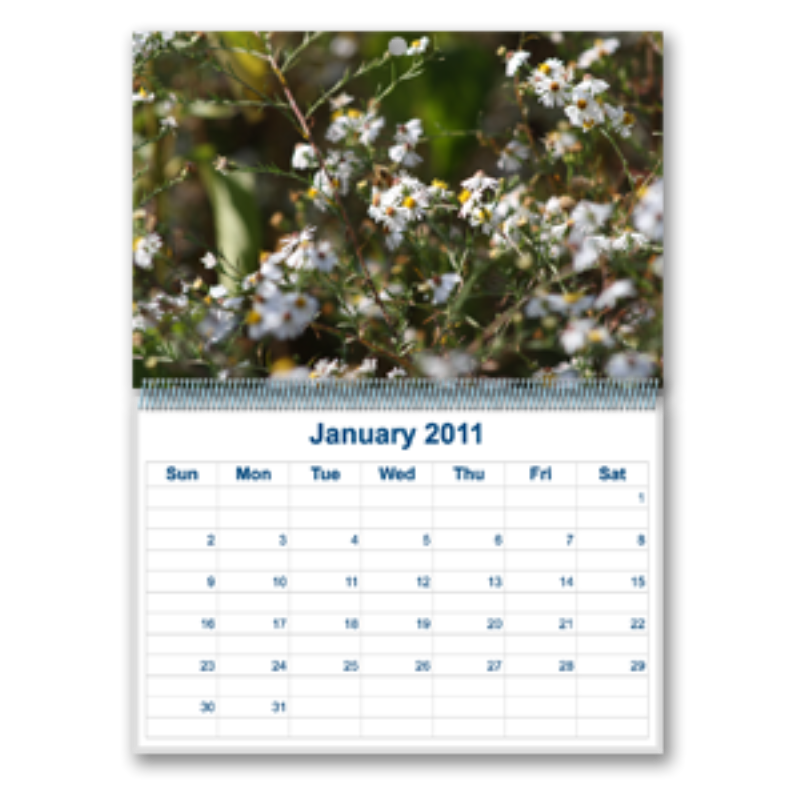 Calendars Wall